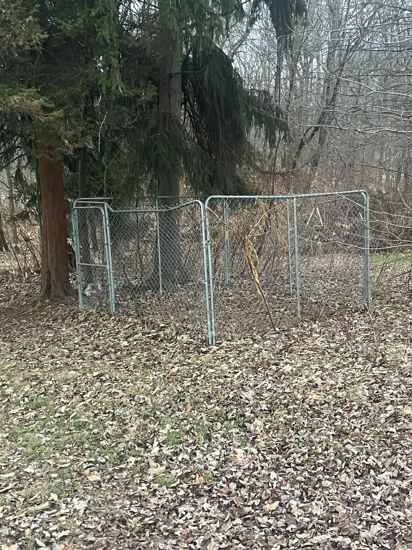 Animal Kennel 