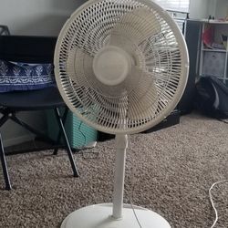 Pedestal Fan