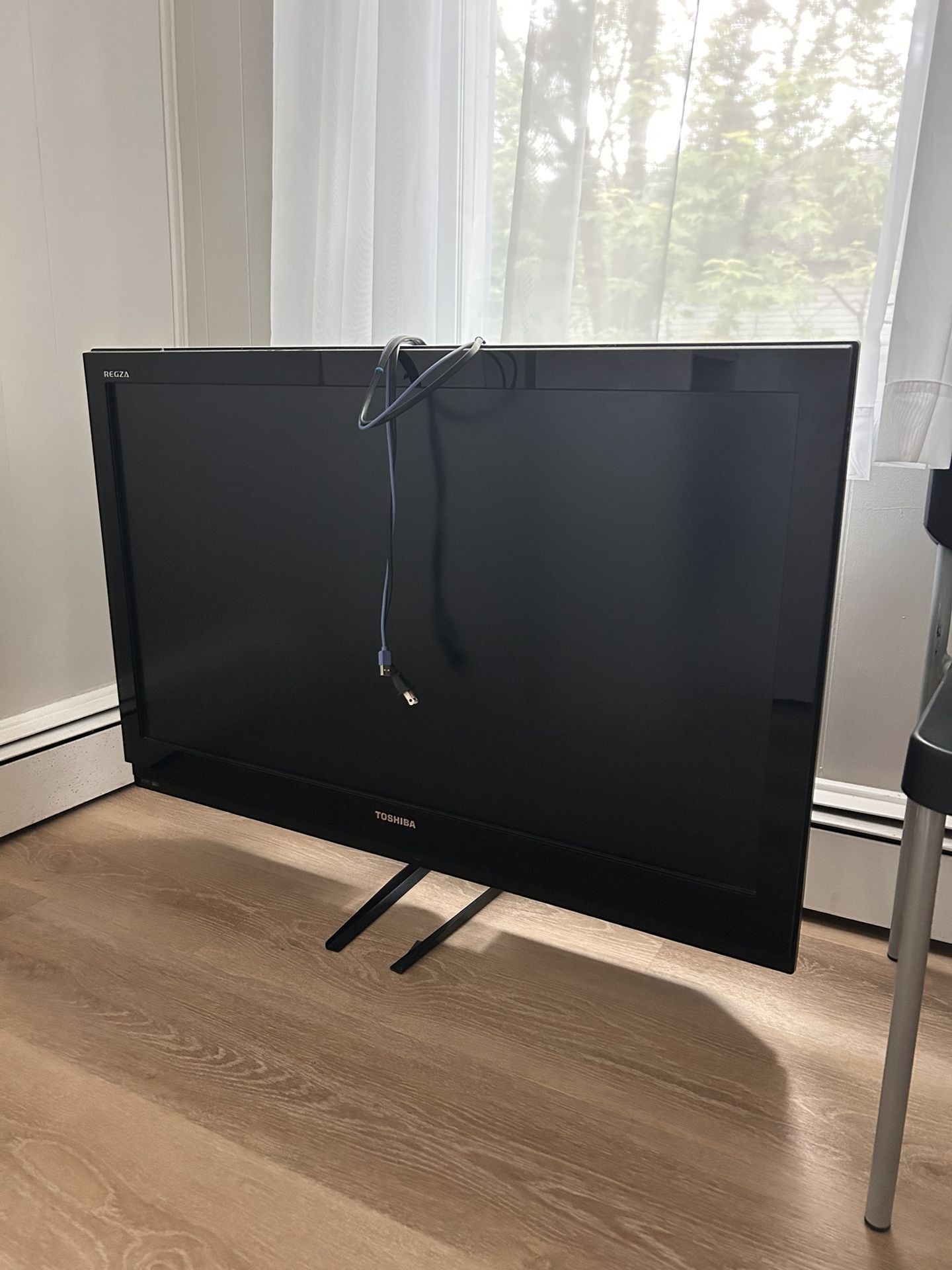 42 Inch TV