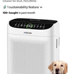 Air Purifier 