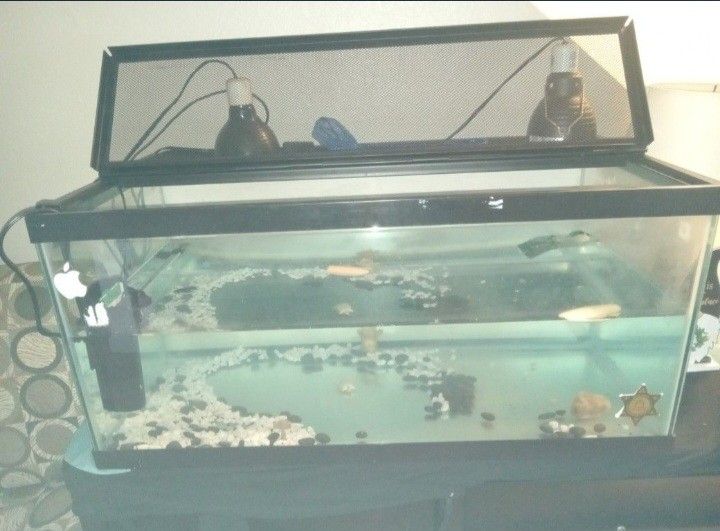 50g Tank/aquarium