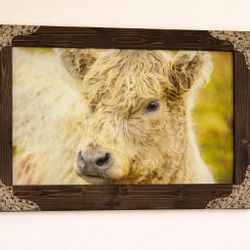39” X 27 1/2” Highland Cow Canvas Print