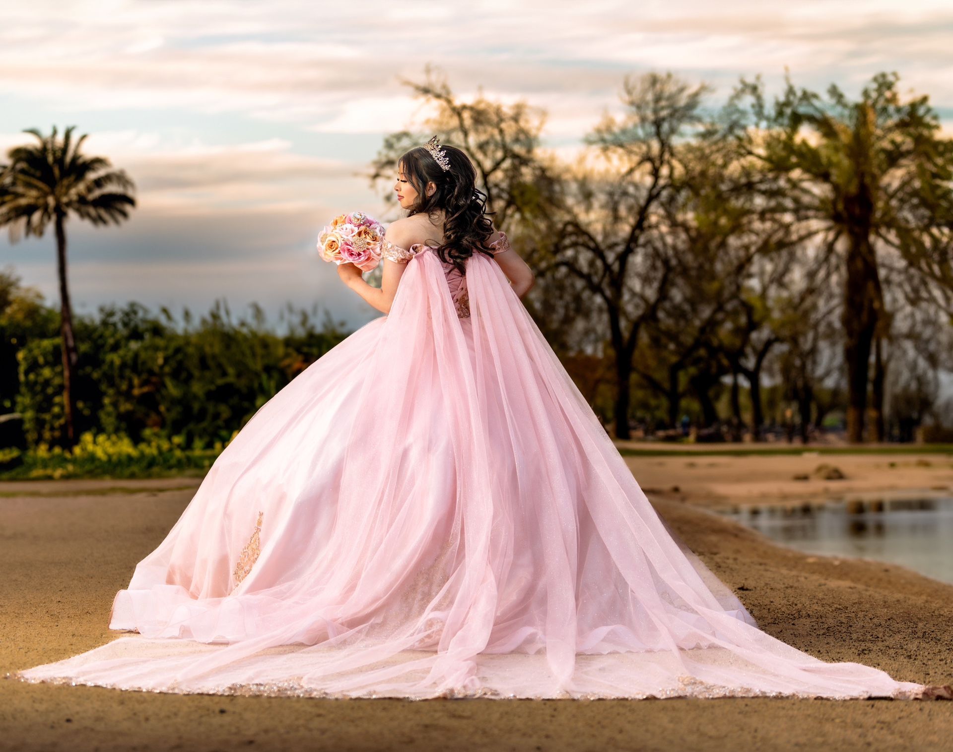 Quinceañera Dress 