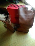 Women's new boots