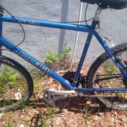 Raleigh M20 Mountain Bike 