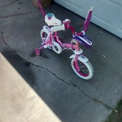 Schwinn Petunia And Grit Bike ( Girls ) 