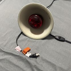 Reptile Lamp With Red Bulb