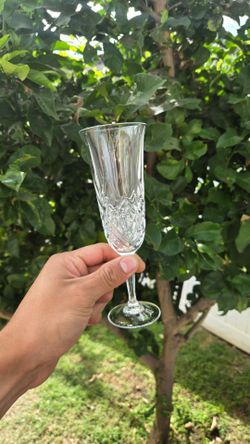 Champagne glass