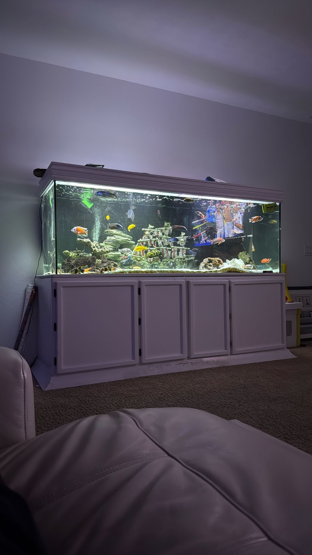 250 Gallon 7ft Aquarium Fish Tank $2500