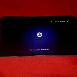 The Playstation Portal