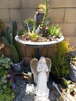 Fountain Plant Decor
