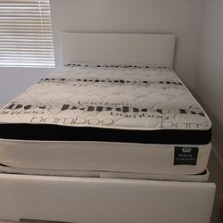 $450 Queen bed frame with mattress and boxspring brand new free delivery free assembly