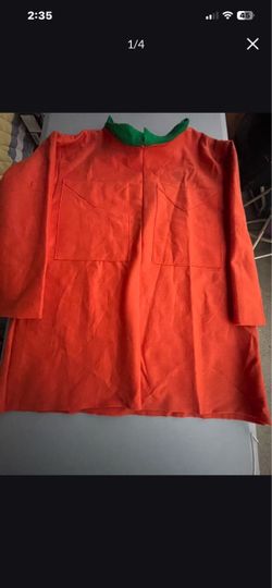 South Park Kyle Halloween Costume. One size fits most.