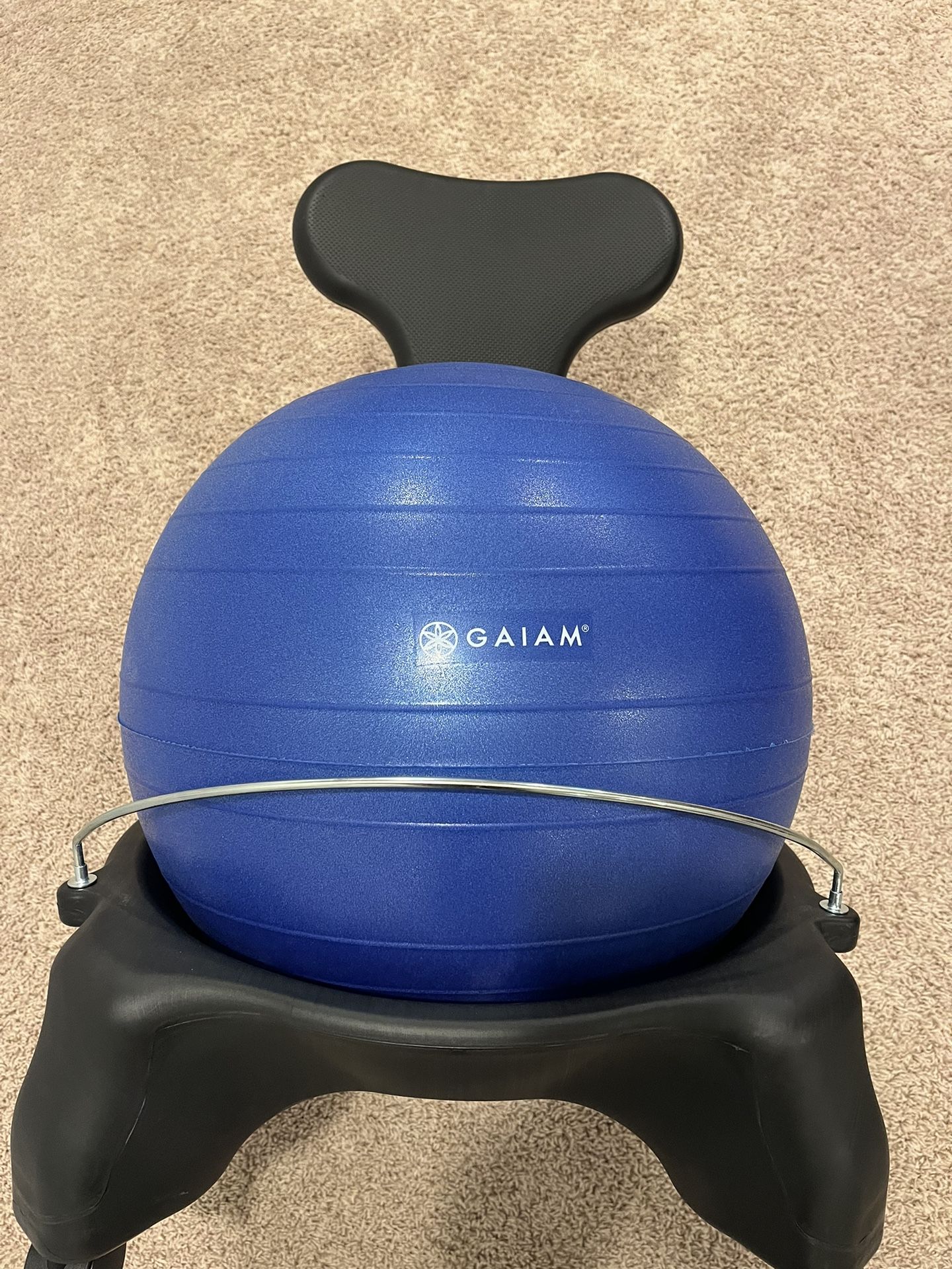 Balance Ball Chair