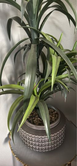 Artificial Yucca Plant in Decorative Pot