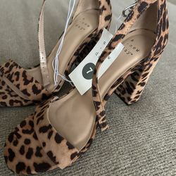 Shoes / Heels / Zapatos