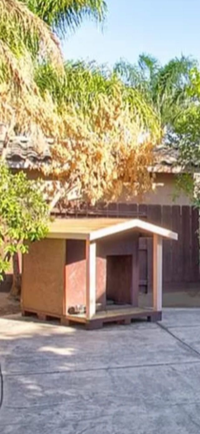 Dog House