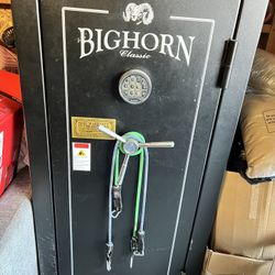 5 Ft Safe 