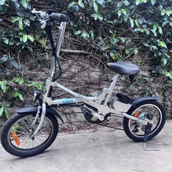 Green World Bike E-Trolley