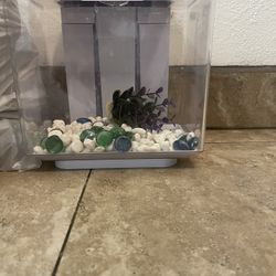 Fish Tank