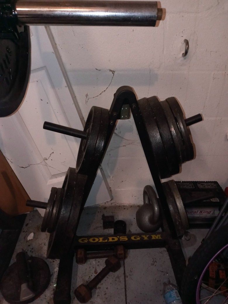 Golds Gym Weight Bench for Sale in Ruskin, FL OfferUp