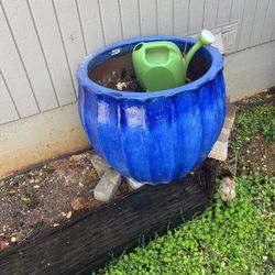 large plant pot 