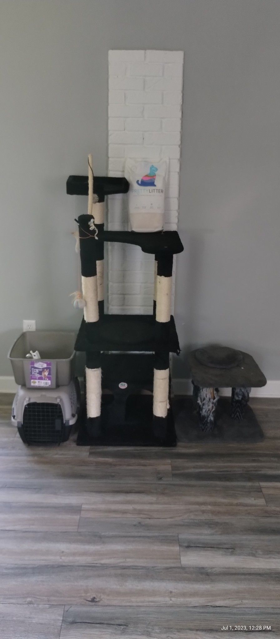 Cat Accessories