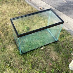Fish Tank 