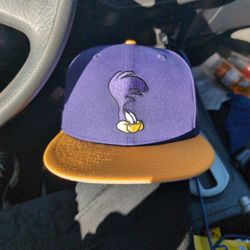 Roadrunner Hat