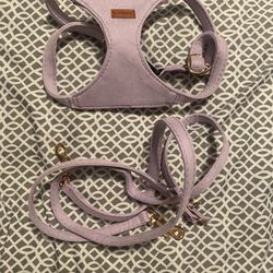 Lavender Dog Collar Set Size medium 