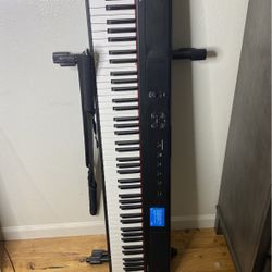 Piano With Stand 