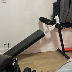 Parabody Crunch Bench ; Trades Alright ; Negotiable 