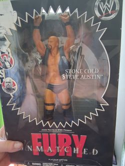 WWE Collector Figurine