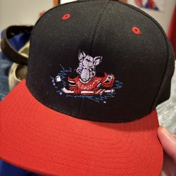 Albany RiverRats Snapback