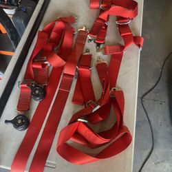 Mustang 3 Point Harness & Bar( Pair )