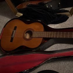 Guitar And Case Francisca Brand  