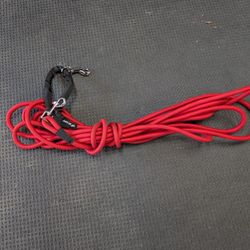30ft Dog Leash Long Line