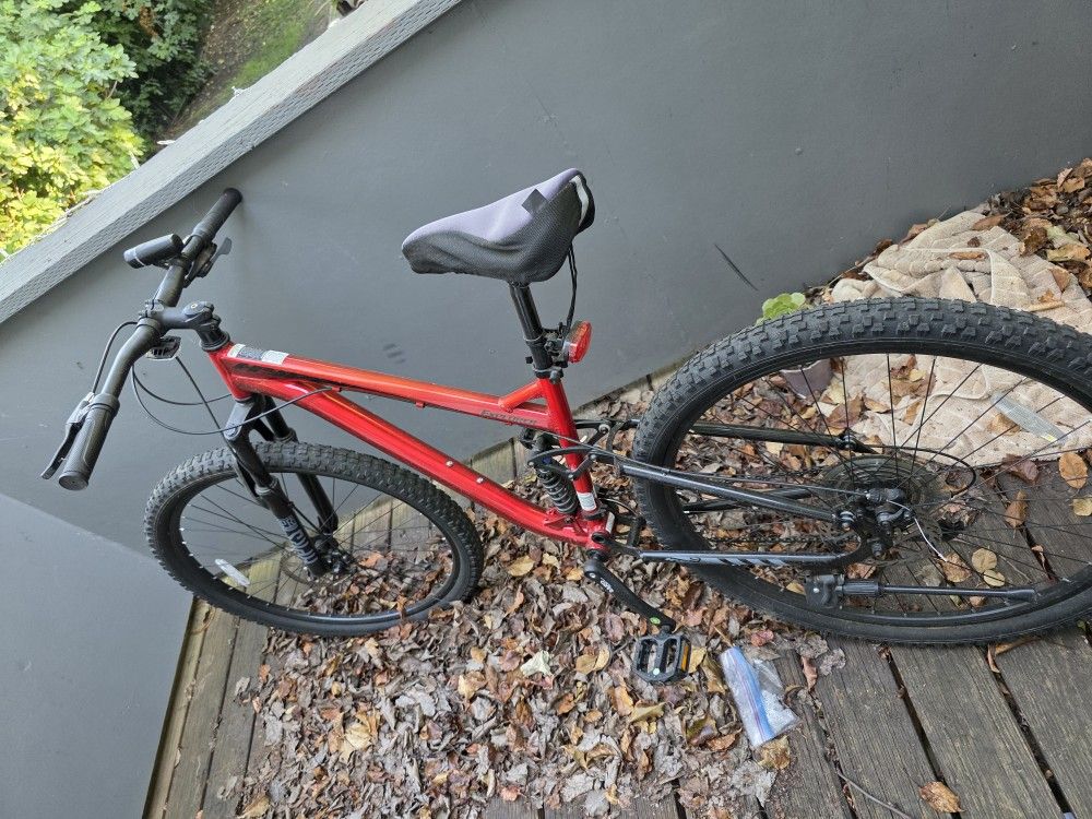 Bike 29'
