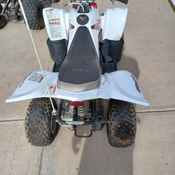 2004  50cc Raptor 