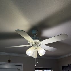 White Ceiling Fans 40”