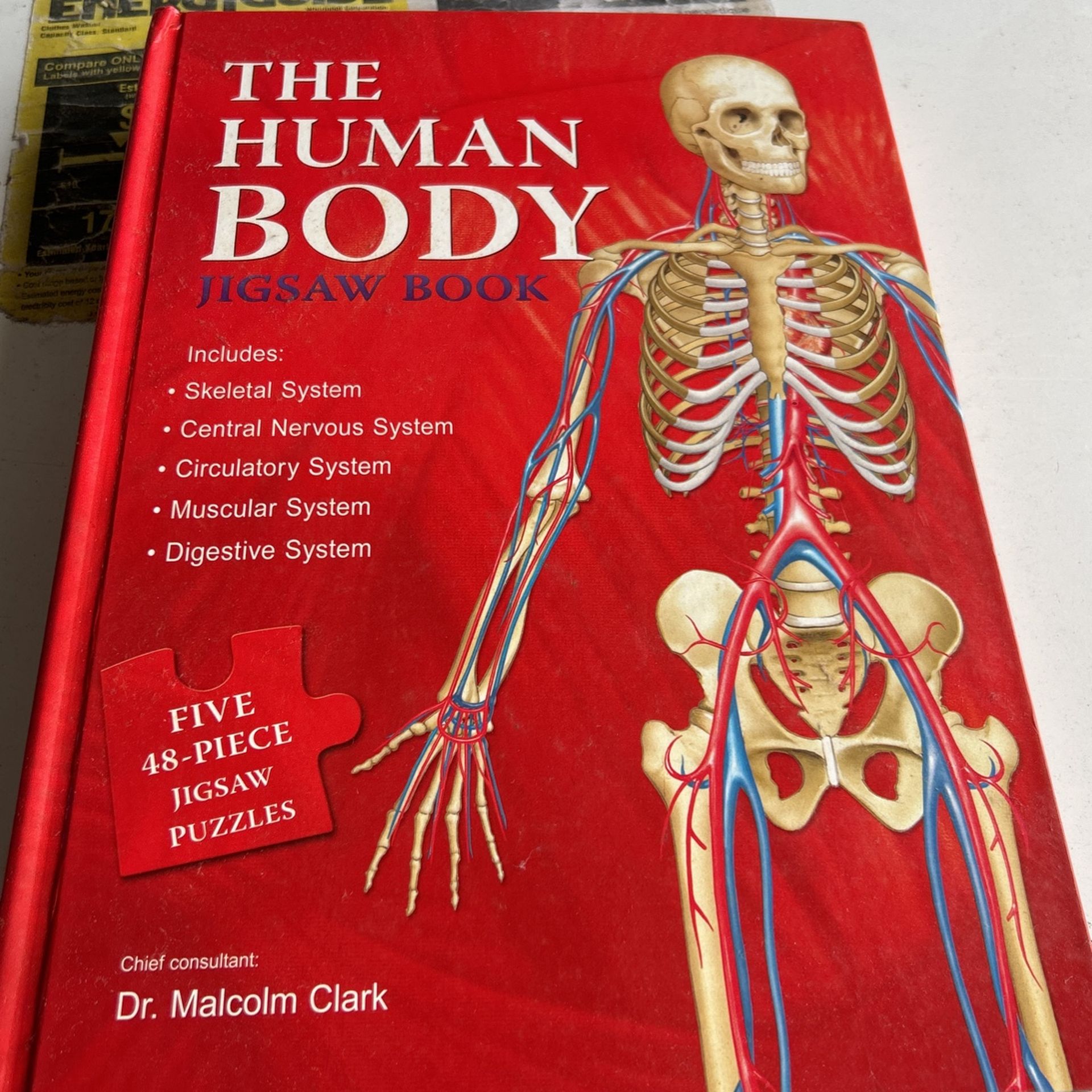 The Human Body Jigsaw Book