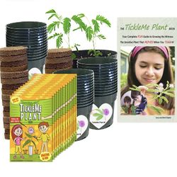 TickleMe Plant Classroom or Homeschool Science Fun Planting Party kit - for 30 Students - Grow The House Plant That Closes Its Leaves When You Tickle 