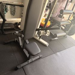Titan Fitness Seated Dip Machine With 100lbs 250$ today