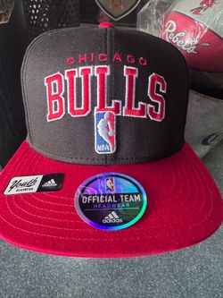 Chicago bulls snap back