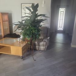 Artificial Plants - MAKE OFFER