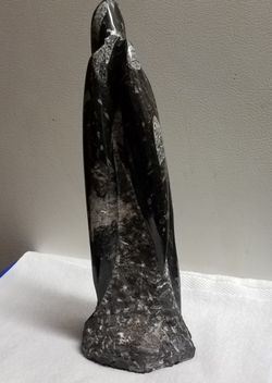14 " Spectacular Orthoceras Fossil Tower