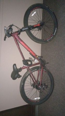 Mongoose ardor
