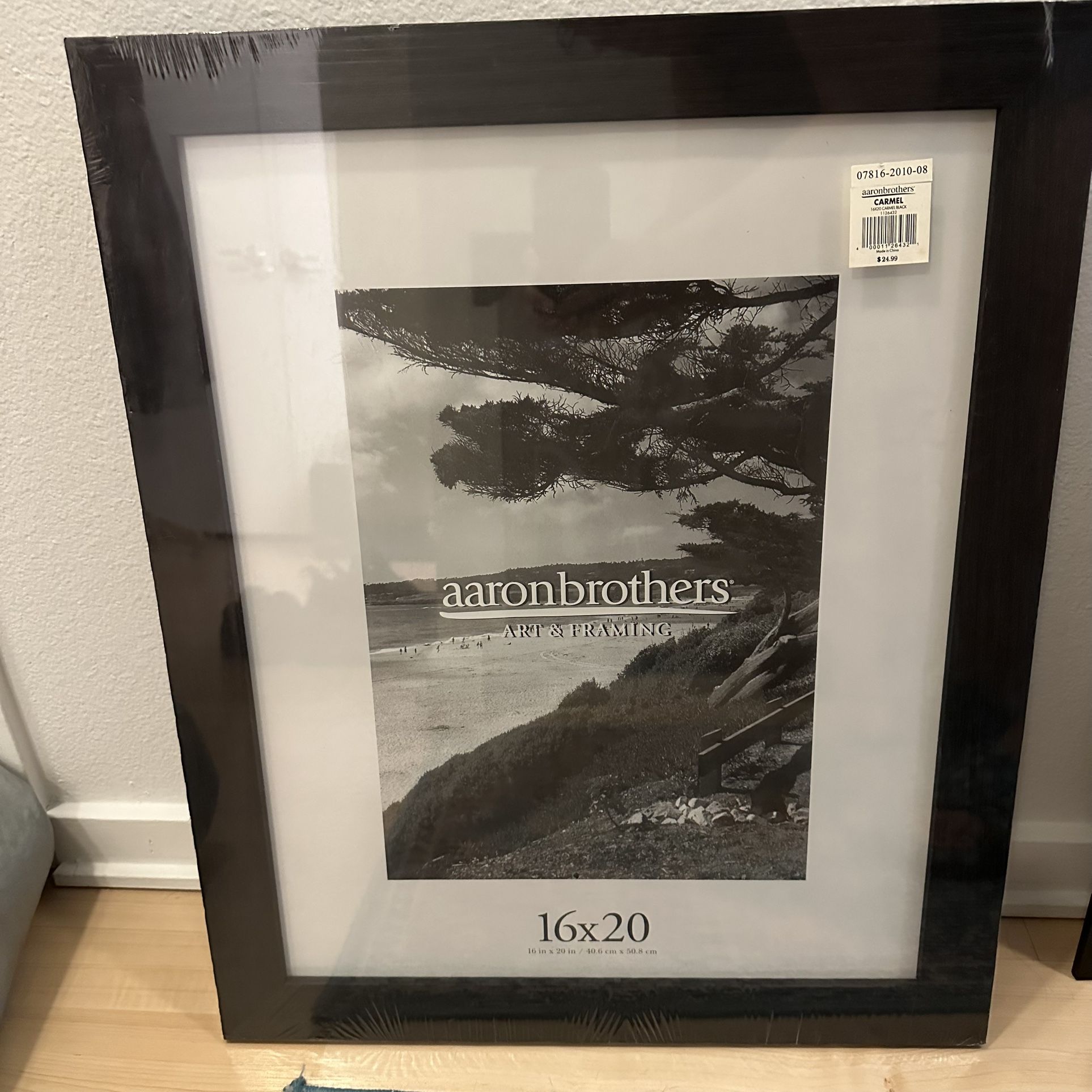 Black Frame 16x20 Aaron brothers
