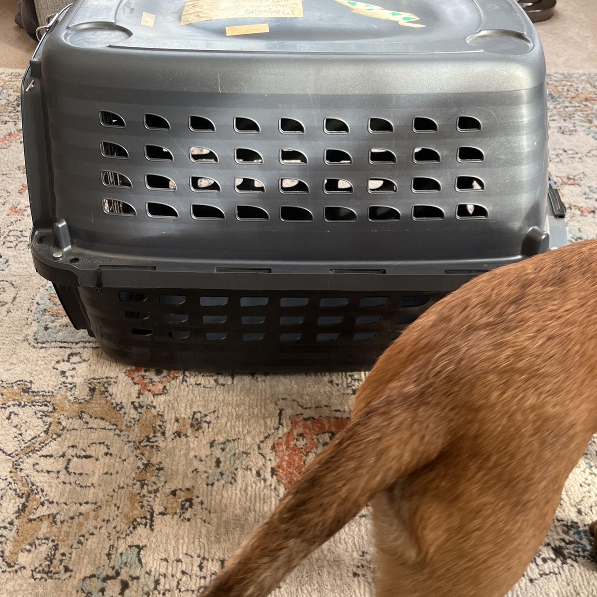 Small Dog Plastic Cage