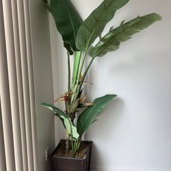 Faux Plant 